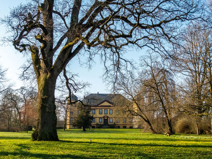 Die Gutsanlage 7