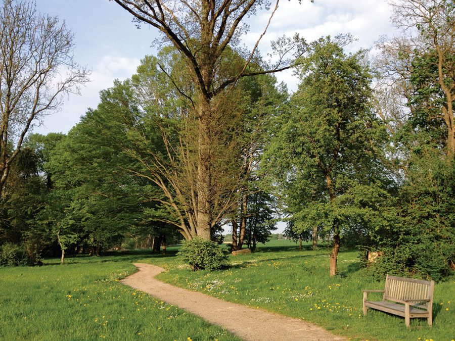 Baum des Jahres