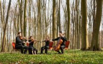 Festspiele Mecklenburg Vorpommern 2026 1