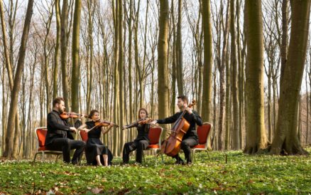 Festspiele Mecklenburg Vorpommern 2026 1