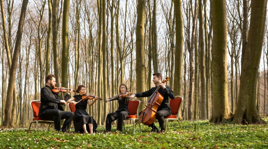 Festspiele Mecklenburg Vorpommern 2026 1