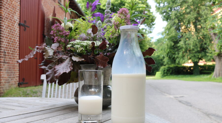 Festspiele Mecklenburg Vorpommern 2026 2