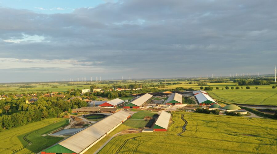 Festspiele Mecklenburg Vorpommern 2026 4