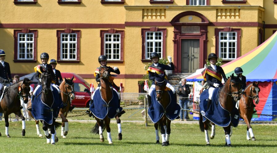 Goldene Schärpe Reiter 2025
